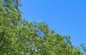 Photos And Video Of Bridge Pointe In Huntsville Al